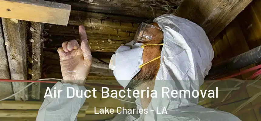  Air Duct Bacteria Removal Lake Charles - LA
