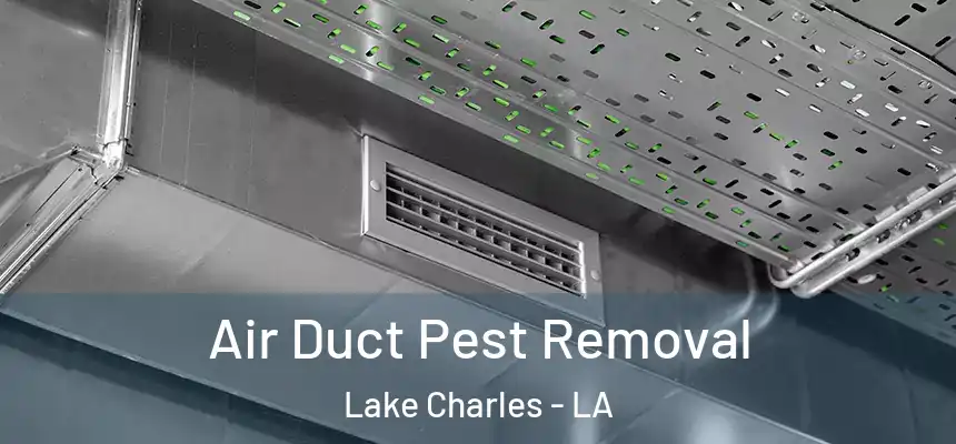 Air Duct Pest Removal Lake Charles - LA