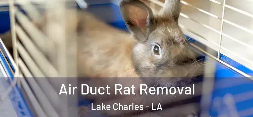  Air Duct Rat Removal Lake Charles - LA