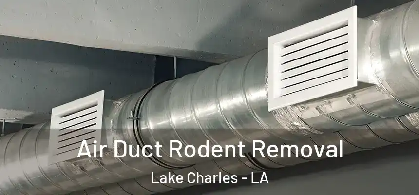  Air Duct Rodent Removal Lake Charles - LA