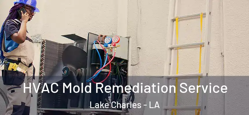  HVAC Mold Remediation Service Lake Charles - LA