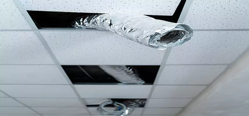 Affordable HVAC Sanitizing After Pest Removal in Lake Charles