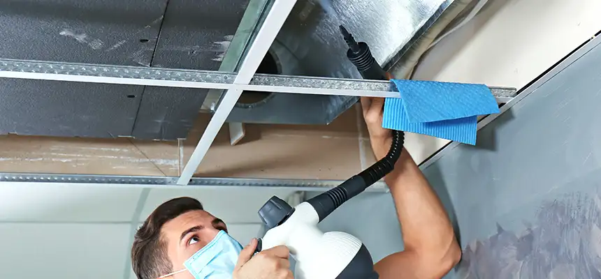 Our Air Duct Rodent Removal Services in Lake Charles, LA