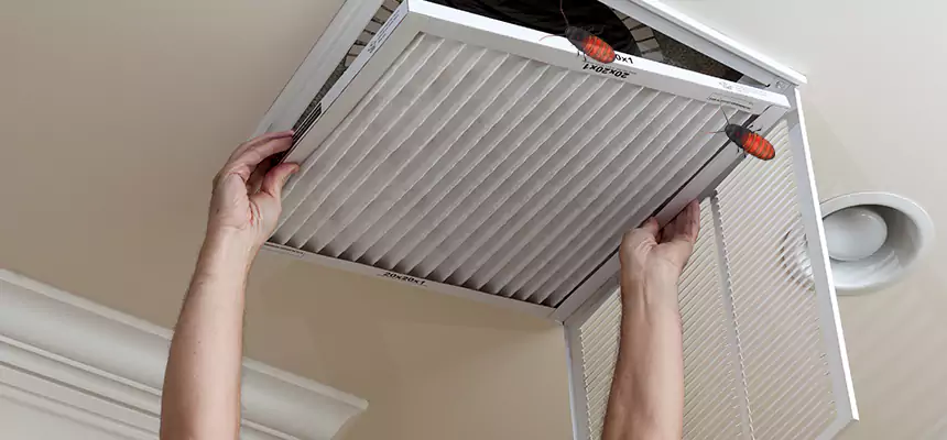 Our Insect Removal from Air Ducts Services in Lake Charles, LA