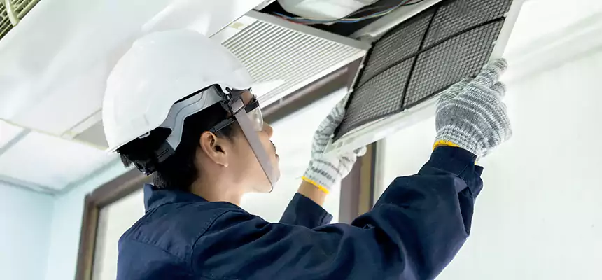 Our Mold & Mildew Removal from Air Ducts Services in Lake Charles, LA