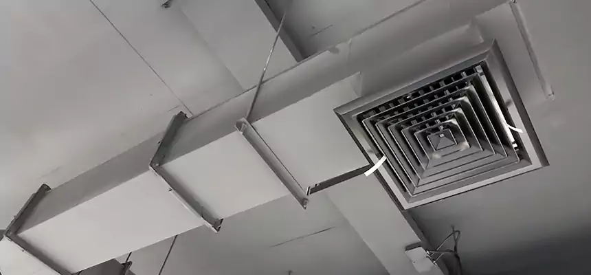 Our Rodent Droppings In Vents Services in Lake Charles, LA