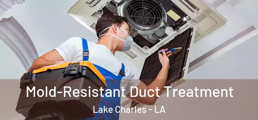  Mold-Resistant Duct Treatment Lake Charles - LA