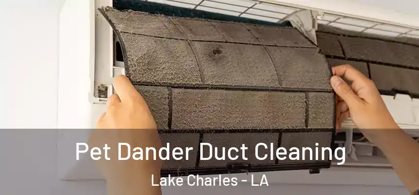 Pet Dander Duct Cleaning Lake Charles - LA