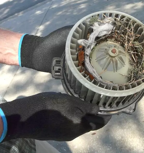 About Air Duct Mice Removal in Lake Charles, LA