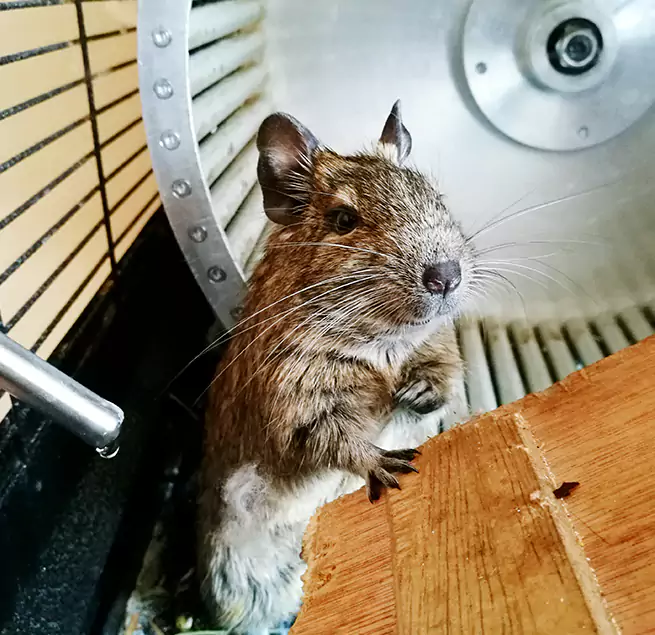 Why Homeowners & Businesses Trust Us Lake Charles, LA?