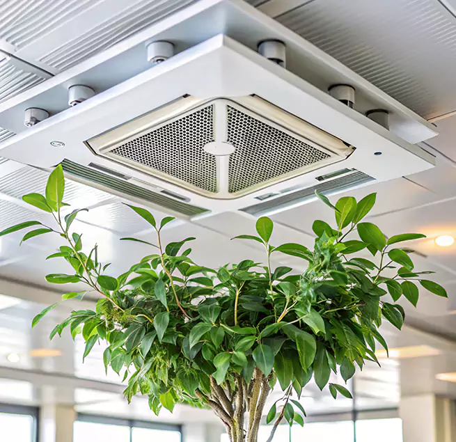 Why Homeowners & Businesses Trust Us in Lake Charles, LA?